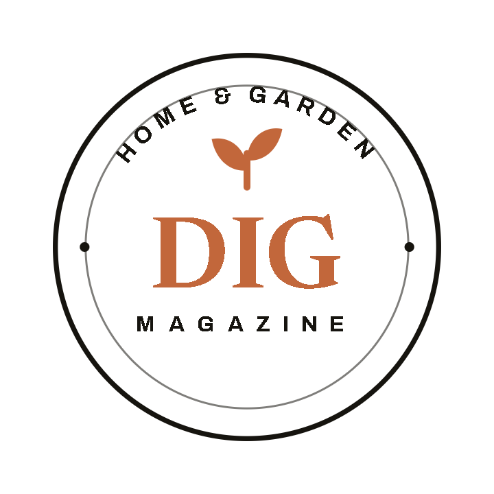 Dig Magazine