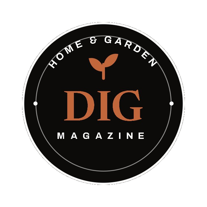 Dig Magazine